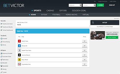 betvictor greyhounds|BetVictor Greyhound Betting – Reviewing Every Aspect Of Its .